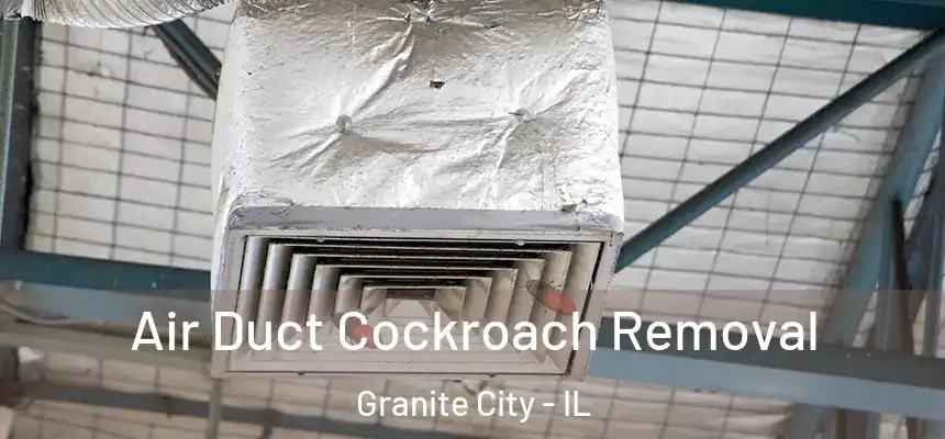  Air Duct Cockroach Removal Granite City - IL