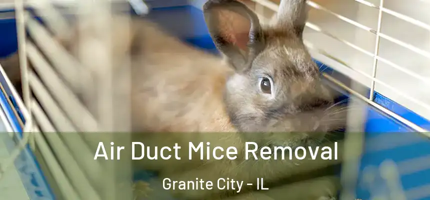  Air Duct Mice Removal Granite City - IL