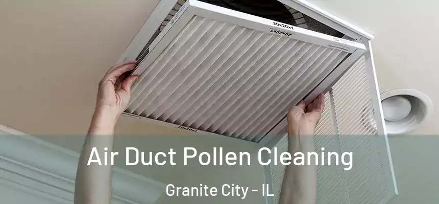  Air Duct Pollen Cleaning Granite City - IL