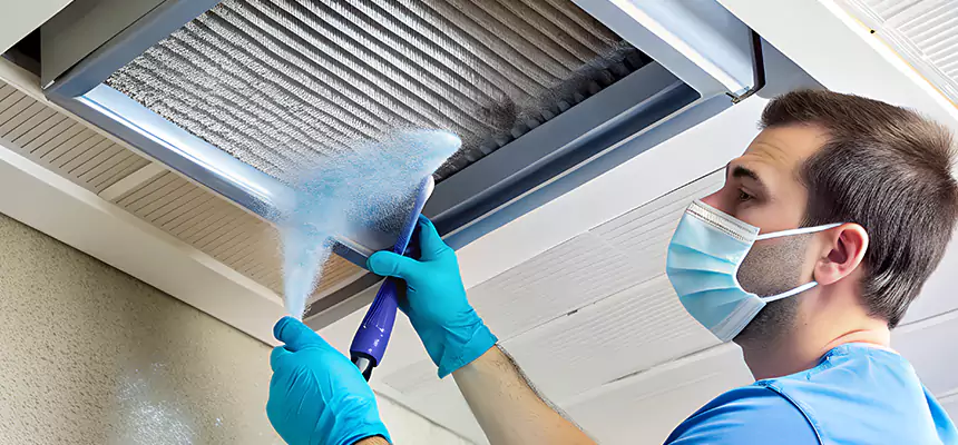 Proactive Dryer Vent & Auxiliary Duct Pollen Cleanup in Granite City, IL