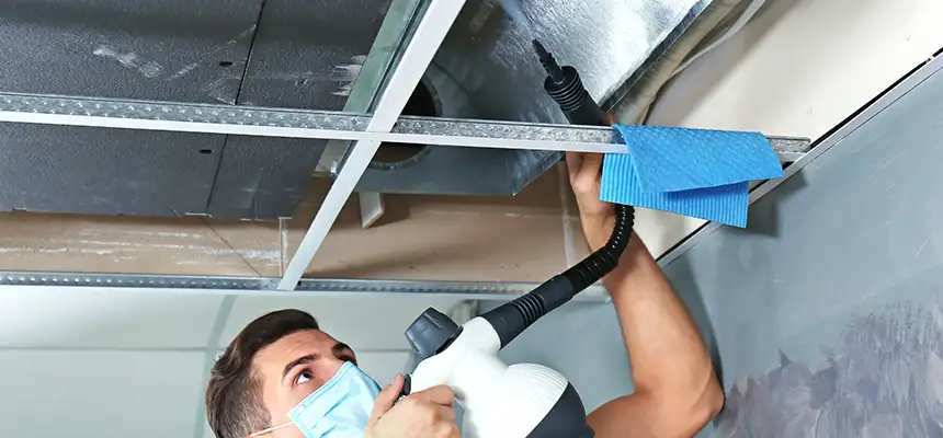 Our Air Duct Rodent Removal Services in Granite City, IL