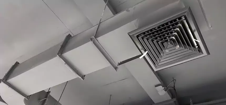 Restorative Allergy Relief Vent Cleaning – Coil, Blower & Housing Detail in Granite City