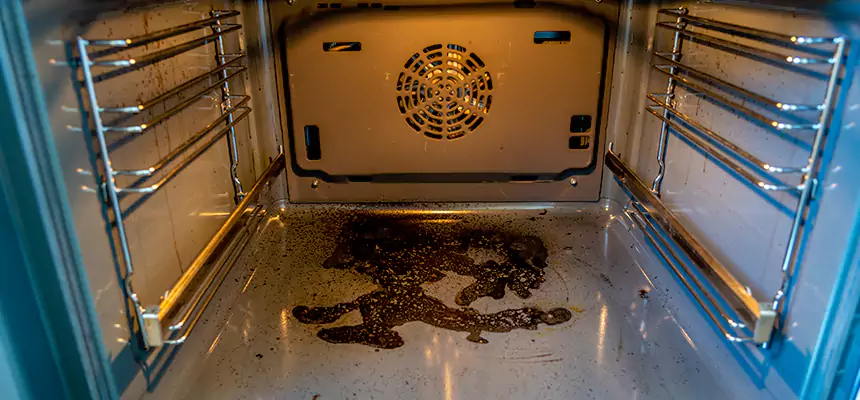 Our Dryer Vent Mold Cleaning Services in Granite City, IL