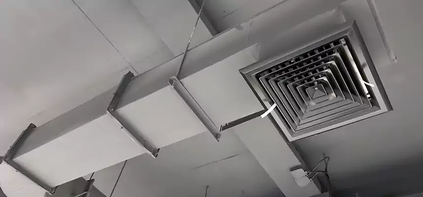 Our Pest Removal From Ducts Services in Granite City, IL