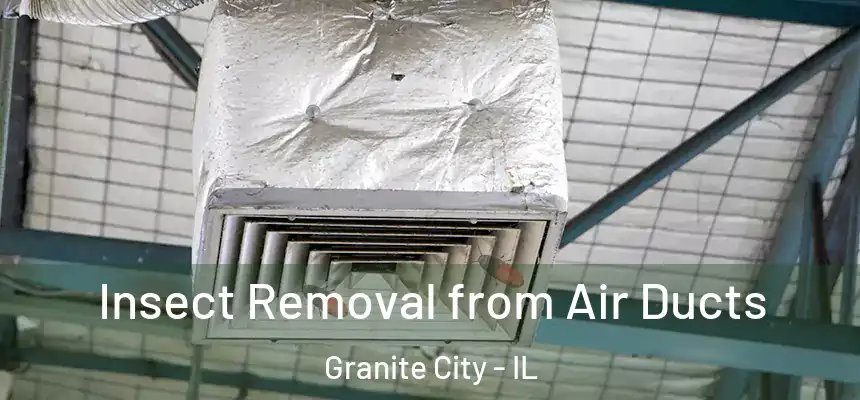  Insect Removal from Air Ducts Granite City - IL