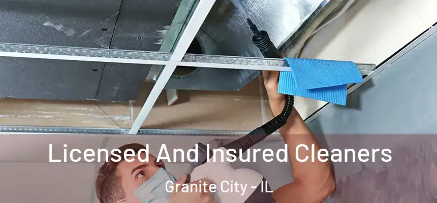  Licensed And Insured Cleaners Granite City - IL