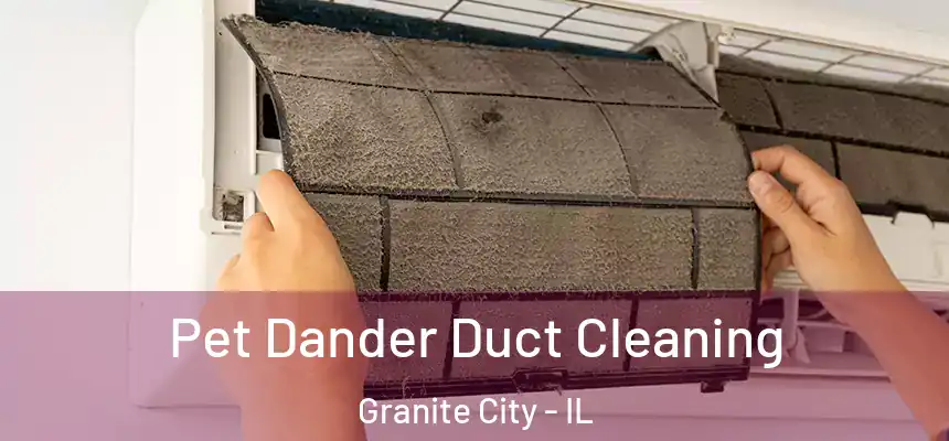 Pet Dander Duct Cleaning Granite City - IL