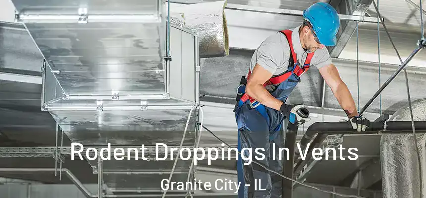  Rodent Droppings In Vents Granite City - IL
