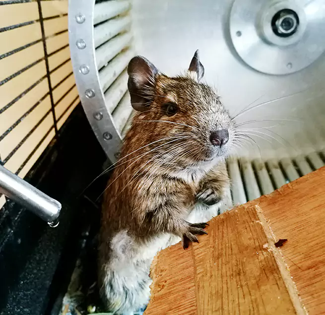 Why Homeowners & Businesses Trust Us Granite City, IL?