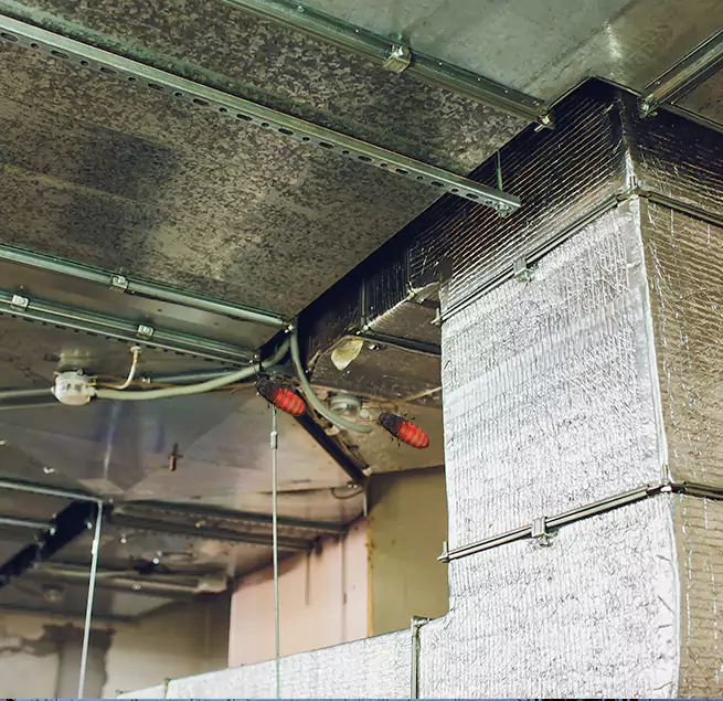 Why Homeowners & Businesses Trust Us Granite City, IL?