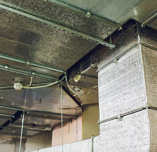 Why Homeowners & Businesses Trust Us in Granite City, IL?